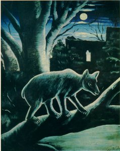  Uma raposa numa noite de lua